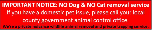 Orlando Animal Removal Services - Call Now (407) 278-5277 Get Help Fast